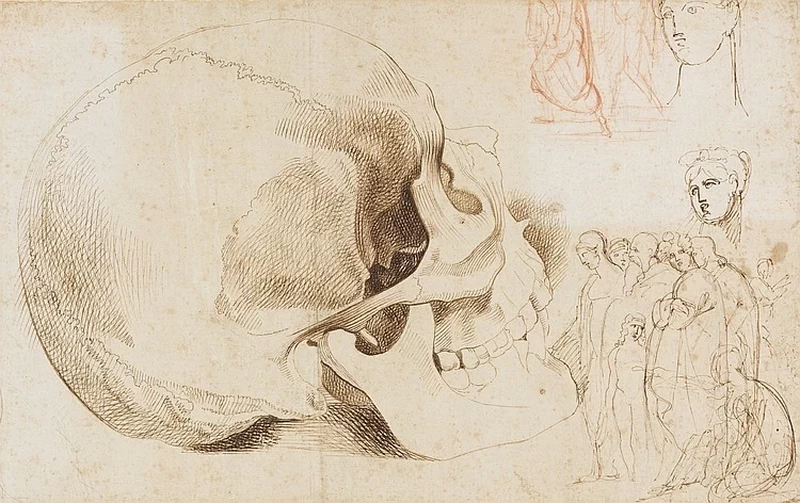 Studio per una vanitas - attribuito